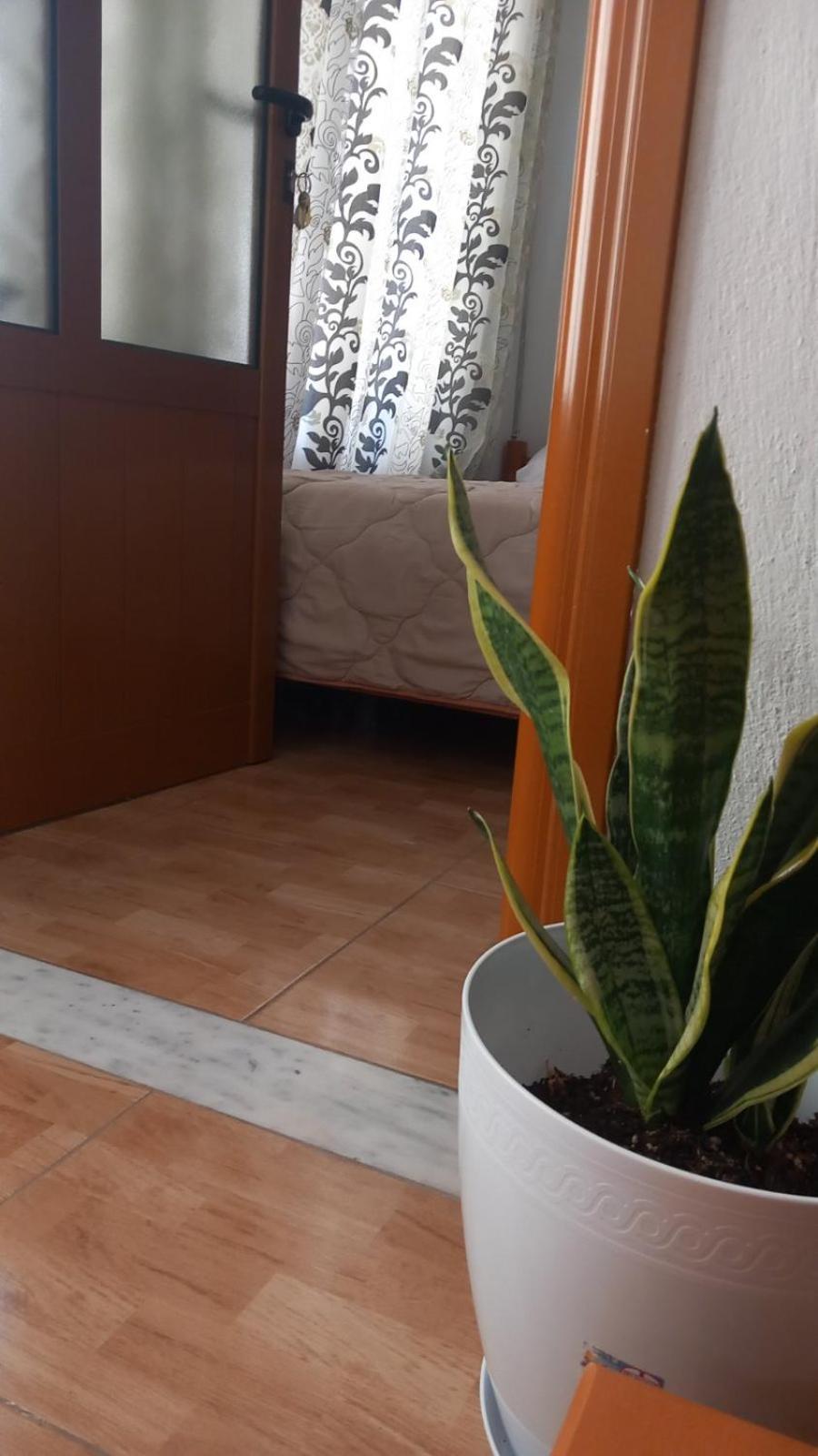 P&k Pogradec