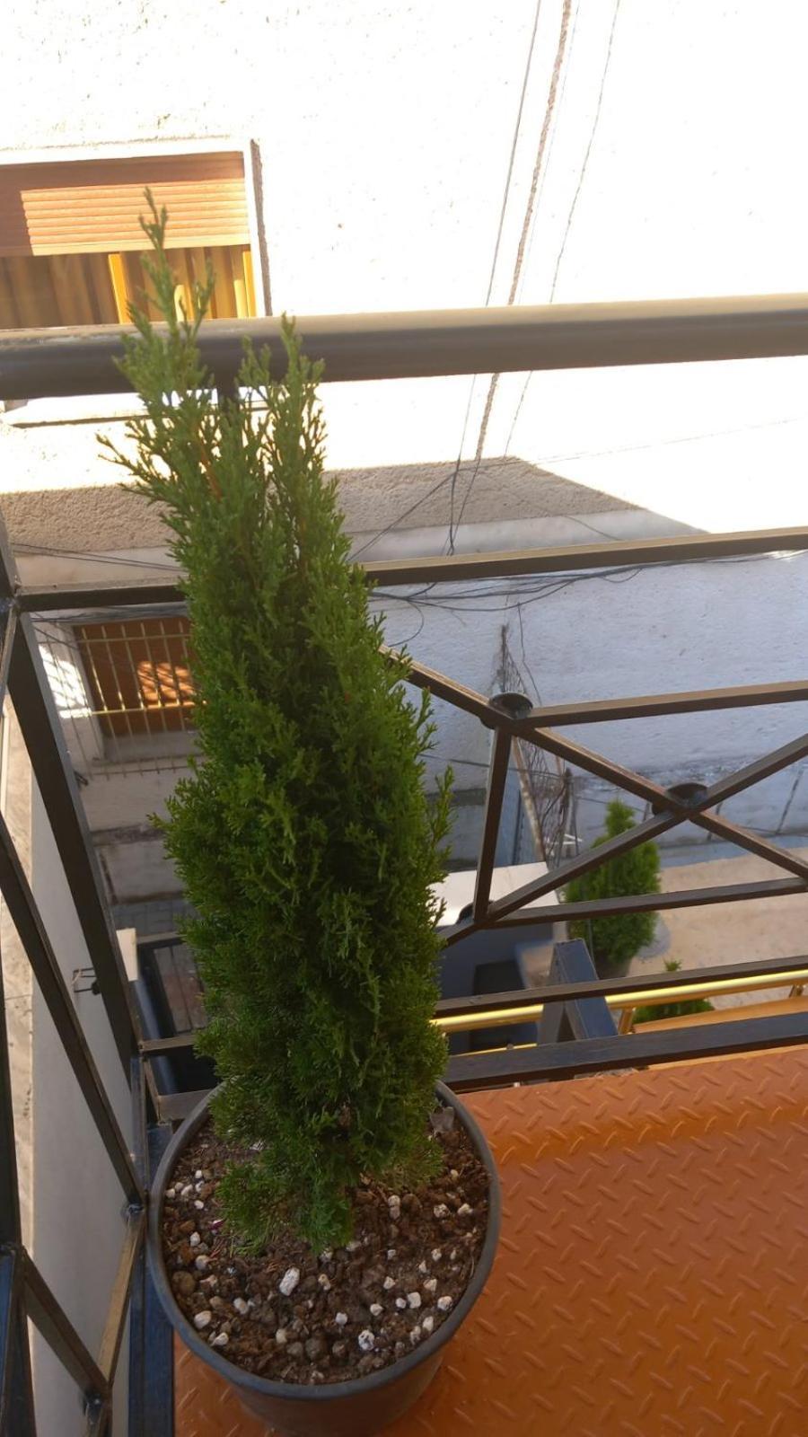 P&k Apartament